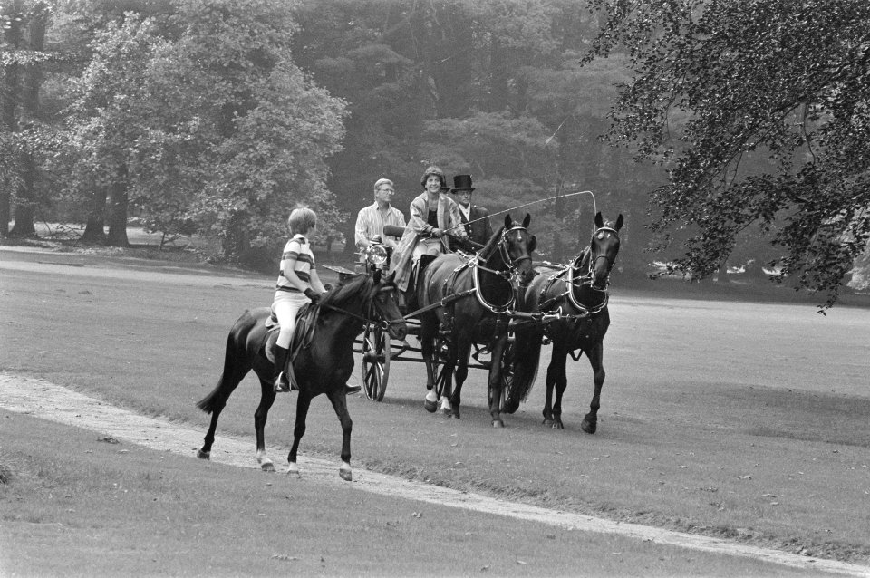 Prinses Margriet en gezin in tuin van Paleis het Loo, Bestanddeelnr 933-6961