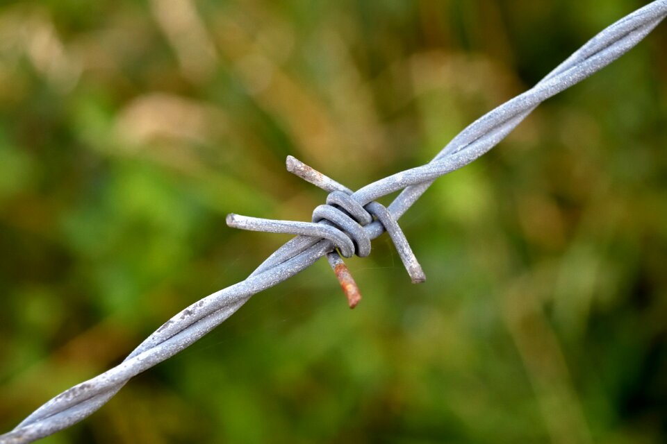 Barbed wire rust node