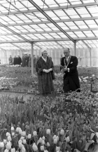 Prinses Irene opent Keukenhof, Prinses Irene tijdens de rondgang, Bestanddeelnr 911-1320