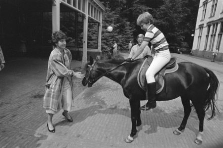 Prinses Margriet en gezin in tuin van Paleis het Loo, Bestanddeelnr 933-6962