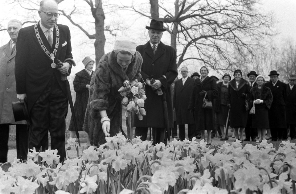 Prinses Irene opent Keukenhof, Prinses Irene tijdens de rondgang, Bestanddeelnr 911-1326