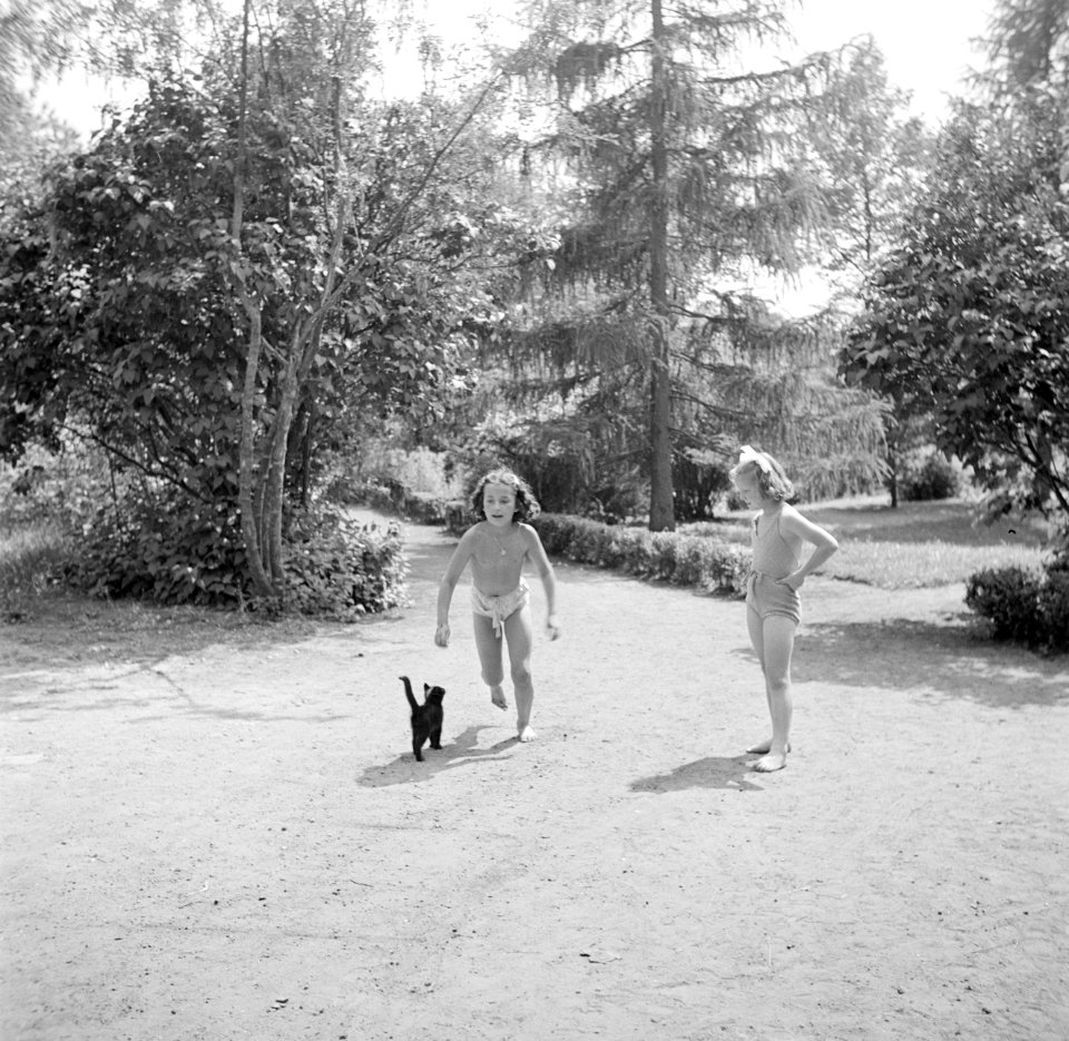 Prinses Irene met een klasgenote en een kat in de tuin, Bestanddeelnr 255-7387