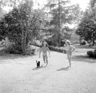 Prinses Irene met een klasgenote en een kat in de tuin, Bestanddeelnr 255-7387