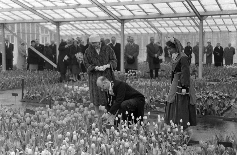 Prinses Irene opent Keukenhof, Bestanddeelnr 911-1317