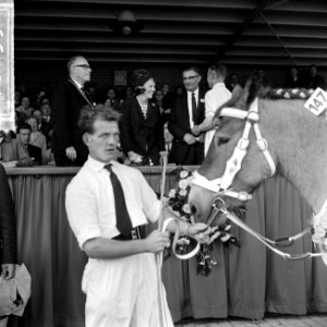 Prinses Beatrix bracht bezoek tentoonstelling van het Nederlandse Trekpaard in D, Bestanddeelnr 916-8958