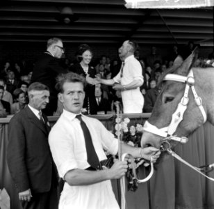 Prinses Beatrix bracht bezoek tentoonstelling van het Nederlandse Trekpaard in D, Bestanddeelnr 916-8962