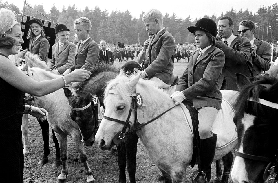 Prinses Beatrix bij enkele leden van een van de deelnemende rijverenigingen, Bestanddeelnr 919-5497