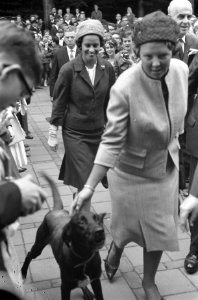 Prinses Beatrix bracht bezoek jeugdfestival Velp, prinses aait hond, Bestanddeelnr 914-2441