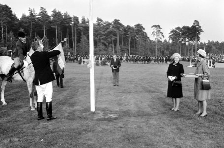 Prinses Beatrix bij het hijsen van de vlag, Bestanddeelnr 919-5499