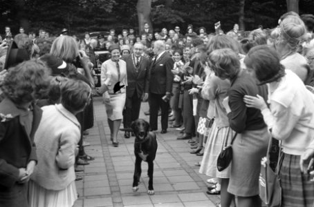Prinses Beatrix bracht bezoek jeugdfestival Velp, Bestanddeelnr 914-2455