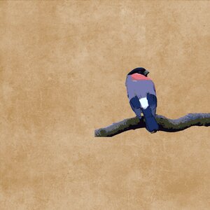 Plumage branch drawing