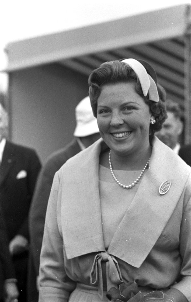 Prinses Beatrix bezoekt Friesland en Groningen, rondgang, Bestanddeelnr 910-6327