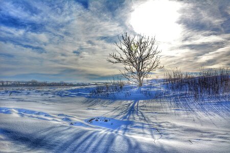 Winter nature slovakia blue lonely photo