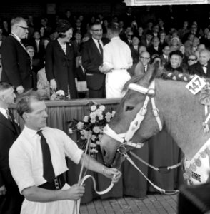 Prinses Beatrix bracht bezoek tentoonstelling van het Nederlandse Trekpaard in D, Bestanddeelnr 916-8963