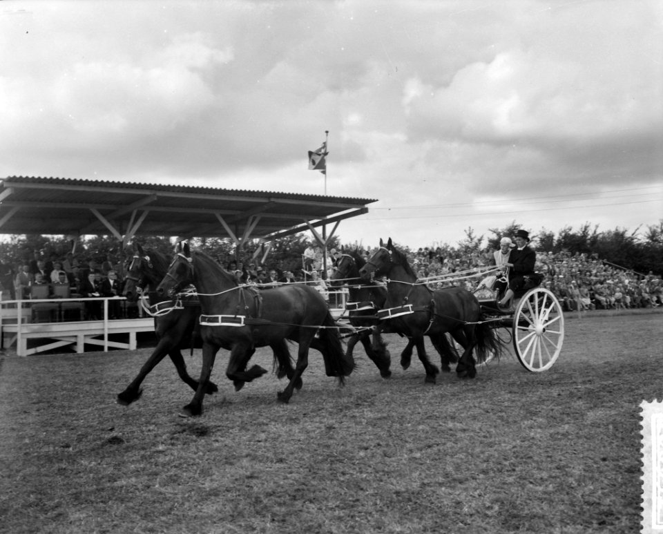 Prinses Beatrix bezoekt Friesland en Groningen, prinses Beatrix in rijtuig, Bestanddeelnr 910-6331
