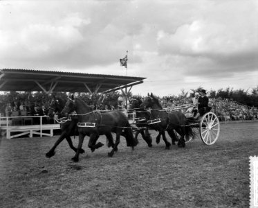 Prinses Beatrix bezoekt Friesland en Groningen, prinses Beatrix in rijtuig, Bestanddeelnr 910-6331