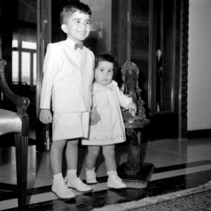 Prins Hassan en prinses Basma, Bestanddeelnr 255-5071