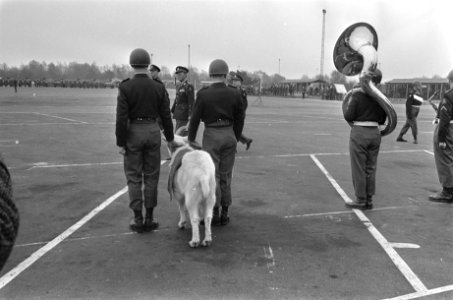 Prins Bernhard reikte nieuw vaandel uit in de Generaal Spoorkazerne te Ermelo, p, Bestanddeelnr 920-1757