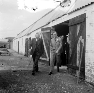 Prins Bernhard bezoekt Zeeuws-Vlaanderen (Kruiningen), Bestanddeelnr 905-3632