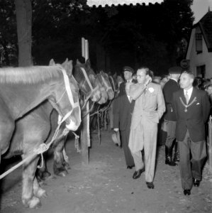 Prins Bernhard bezoekt paardenmarkt Zuidlaren, Bestanddeelnr 906-0699