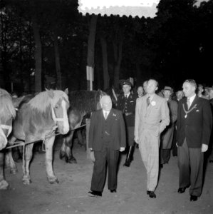 Prins Bernhard bezoekt paardenmarkt Zuidlaren, Bestanddeelnr 906-0698