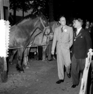Prins Bernhard bezoekt paardenmarkt Zuidlaren, Bestanddeelnr 906-0701