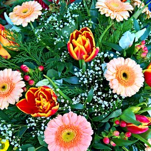 Tulips gerbera gypsophila