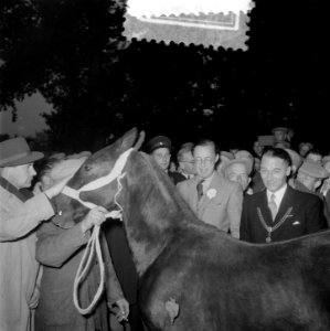 Prins Bernhard bezoekt paardenmarkt Zuidlaren, Bestanddeelnr 906-0700