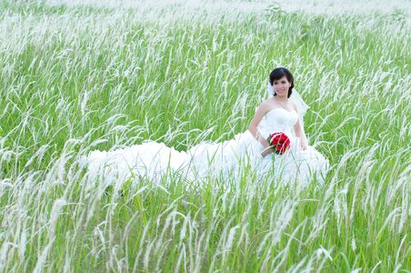 Natural field vietnam