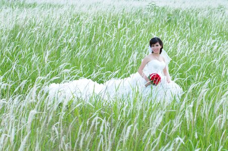 Natural field vietnam photo