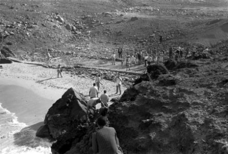 Prinses Beatrix en prins Claus bezoeken Nederlandse Antillen, paar op Aruba, paa, Bestanddeelnr 919-4041
