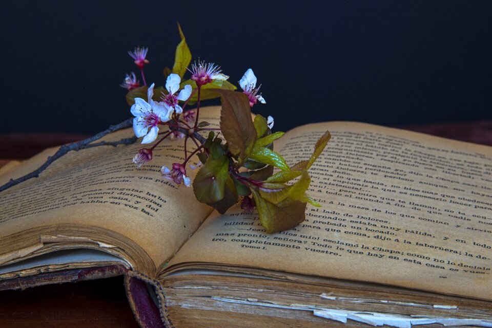 Old reading i am a student