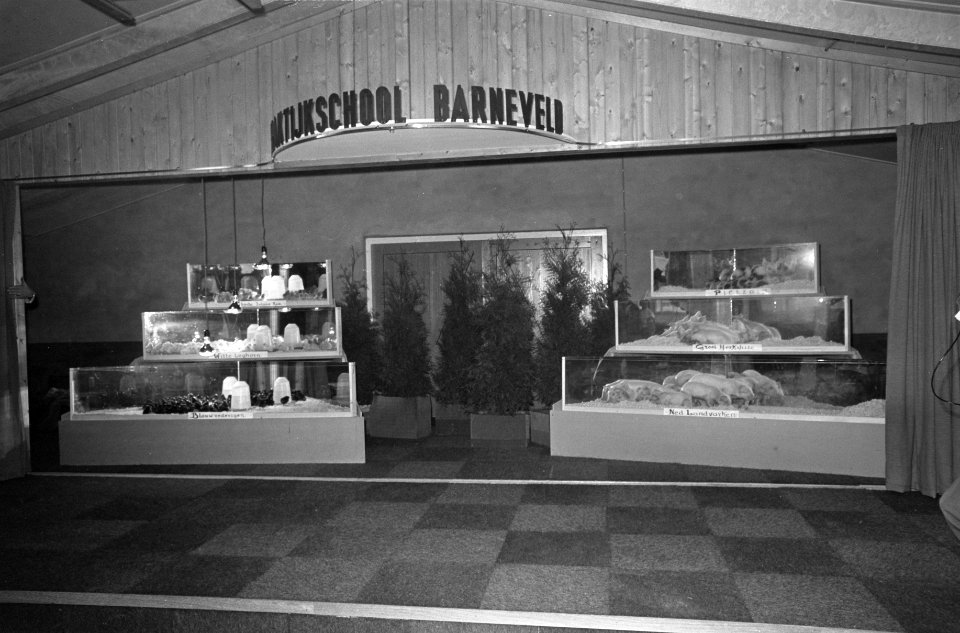 Prins Claus opende school voor Pluimvee- en Varkenshouderij te Barneveld, Bestanddeelnr 921-8315