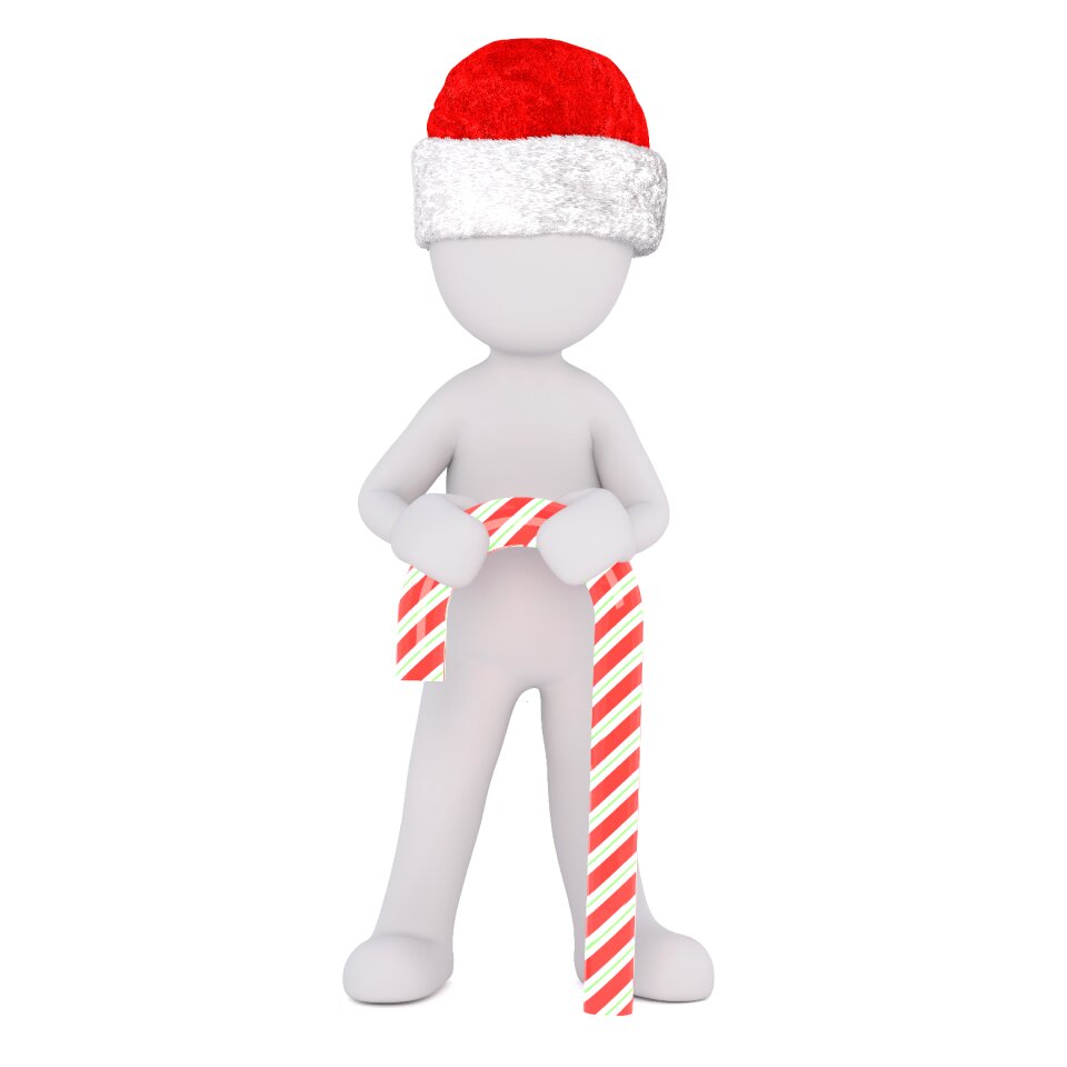 Isolated christmas 3d model