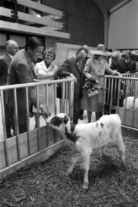 Prinses Beatrix en prins Claus in de kalverfokkerij, Bestanddeelnr 924-5735