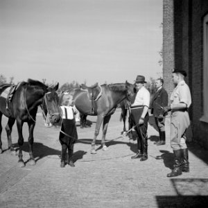 Prinses Beatrix met paarden en stalpersoneel bij het paleis, Bestanddeelnr 255-7496