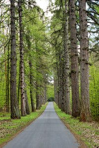 Landscape travel way