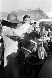 Prinses Beatrix en prins Claus bij een pony, Bestanddeelnr 924-5734