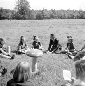 Prinses Beatrix met andere padvinders in de tuin van het paleis, Bestanddeelnr 255-7807