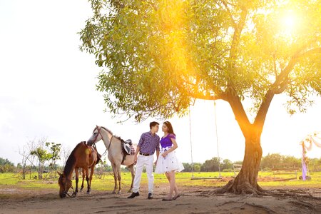 Natural field vietnam photo