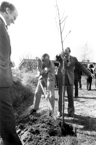 Prins Bernhard plant een boom, Bestanddeelnr 929-1243 photo