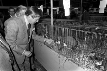 Prins Claus bekijkt een konijn op de tentoonstelling, Bestanddeelnr 931-8306