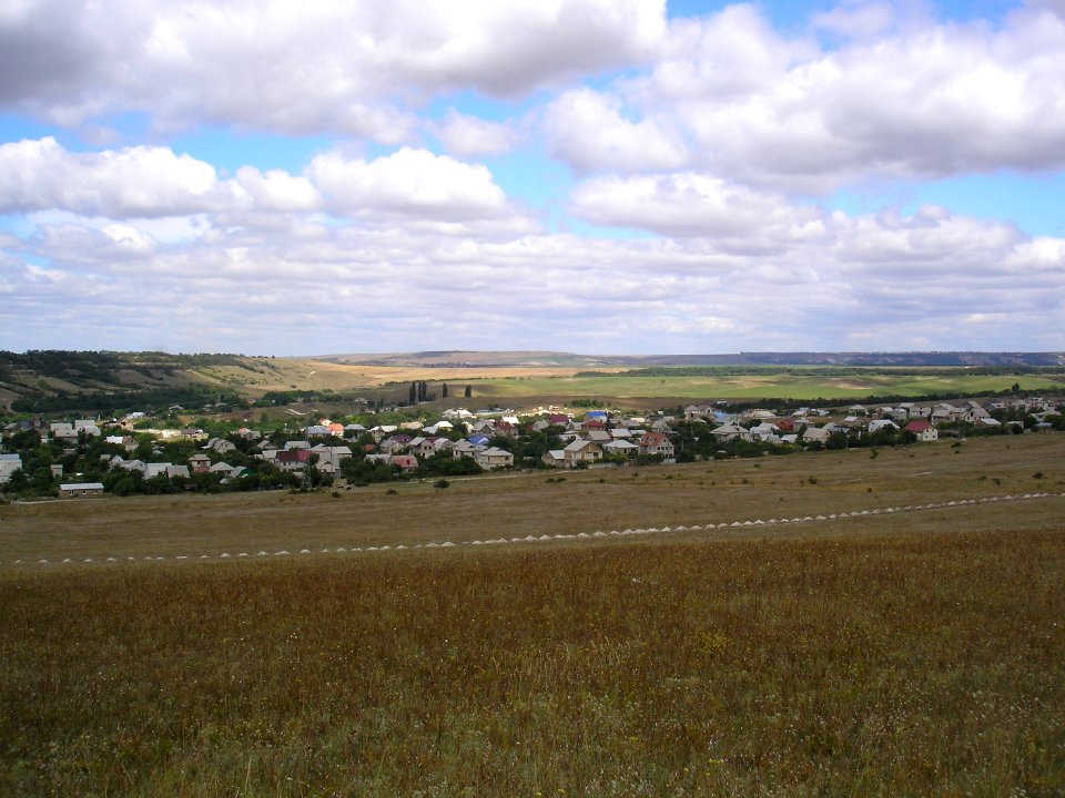 Priyatnoe 2