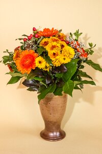Bloom plant garden