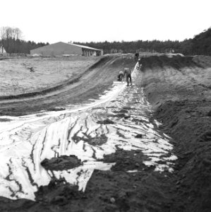 Proefaanleg vijver aan de Koningsweg te Arnhem, Bestanddeelnr 163-0733