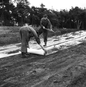 Proefaanleg vijver aan de Koningsweg te Arnhem, Bestanddeelnr 163-0731