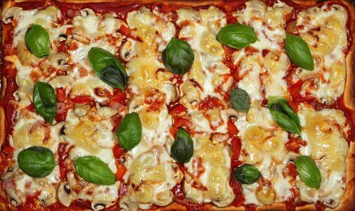 Food basil pizza topping photo