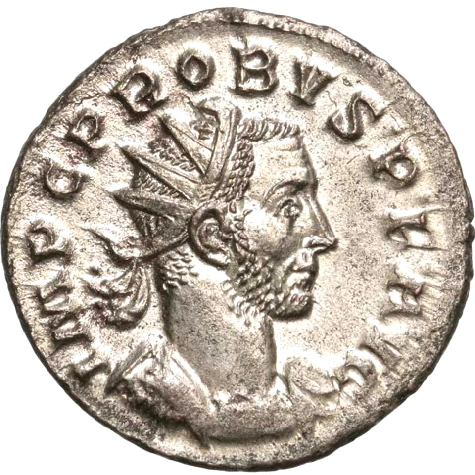 Probus aurelianianus