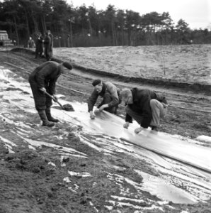 Proefaanleg vijver aan de Koningsweg te Arnhem, Bestanddeelnr 163-0730