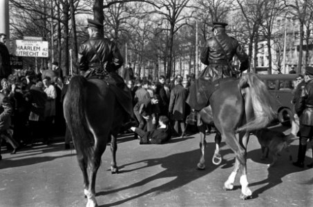 Pro Amerika demonstratie in Den Haag, Bestanddeelnr 921-1698